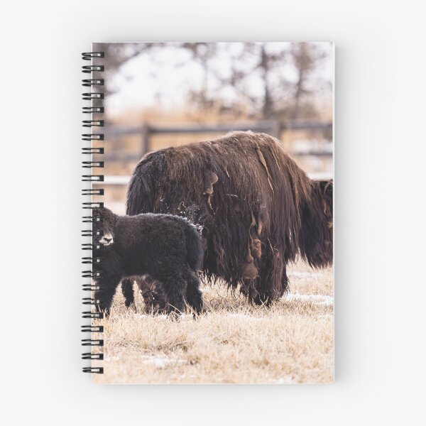 Item preview, Yak and Calf in Snowy Pasture designed and sold by Jarrett720.