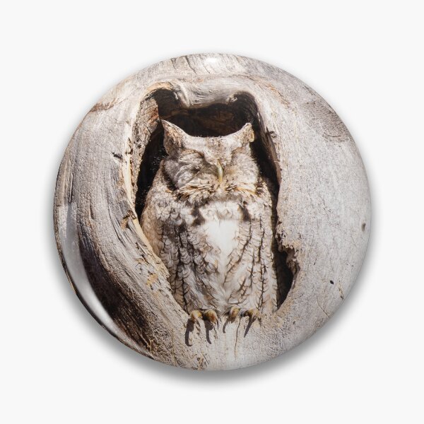 Item preview, Screech Owl in Tree Hollow designed and sold by Jarrett720.