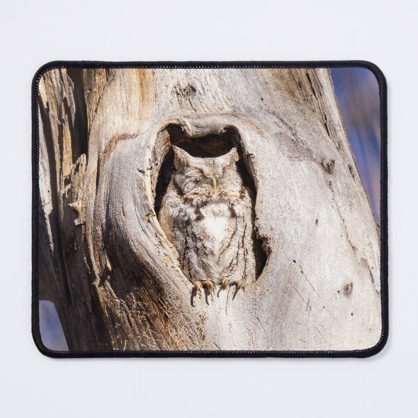 Item preview, Screech Owl in Tree Hollow designed and sold by Jarrett720.