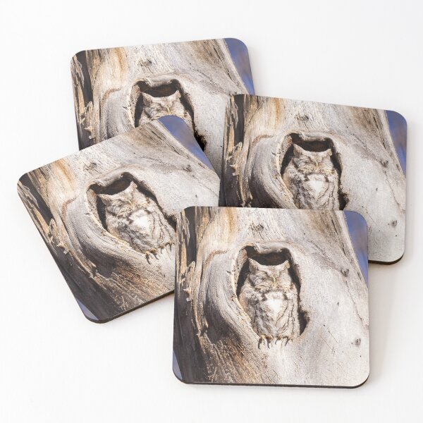 Item preview, Screech Owl in Tree Hollow designed and sold by Jarrett720.