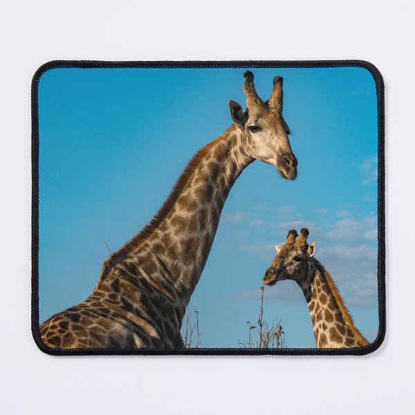 Item preview, Grace in the Sky — Two Giraffes under the African Light designed and sold by DavideAntoniani.