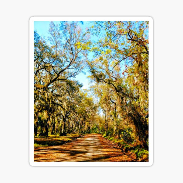 Item preview, A Road To Freedom designed and sold by Dana Yoachum.