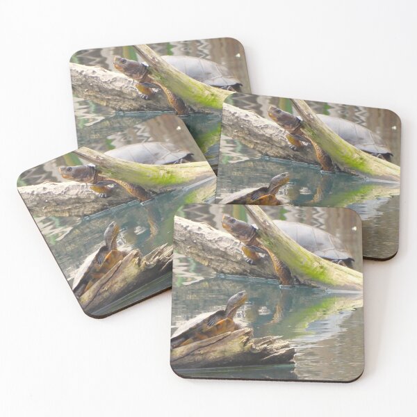 Item preview, Two Western Pond Turtles designed and sold by Wonders Of Paradise.