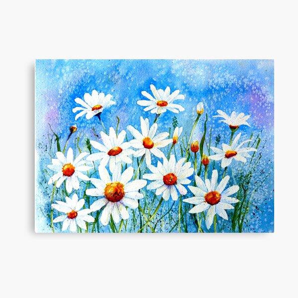 Daisies Canvas Print