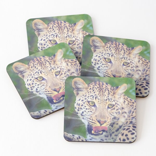 Item preview, Leopard Portrait Botswana Africa Artistic designed and sold by PhotoArt by Joan Carroll.