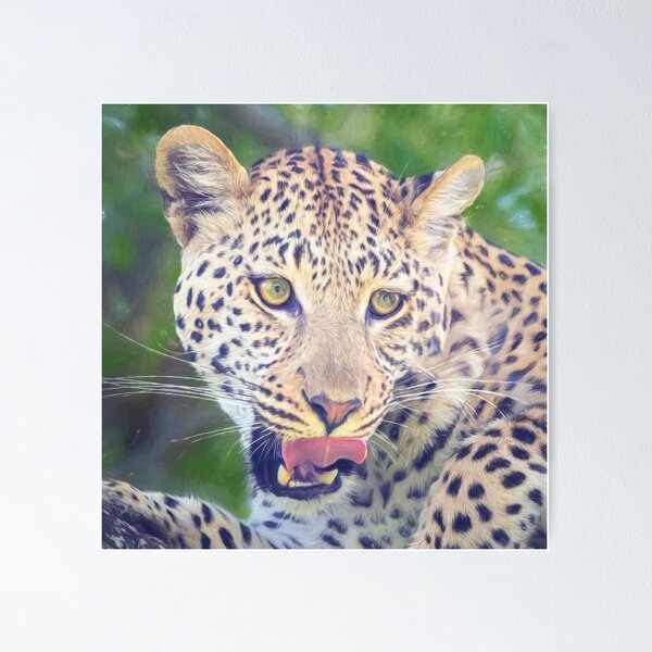 Item preview, Leopard Portrait Botswana Africa Artistic designed and sold by PhotoArt by Joan Carroll.