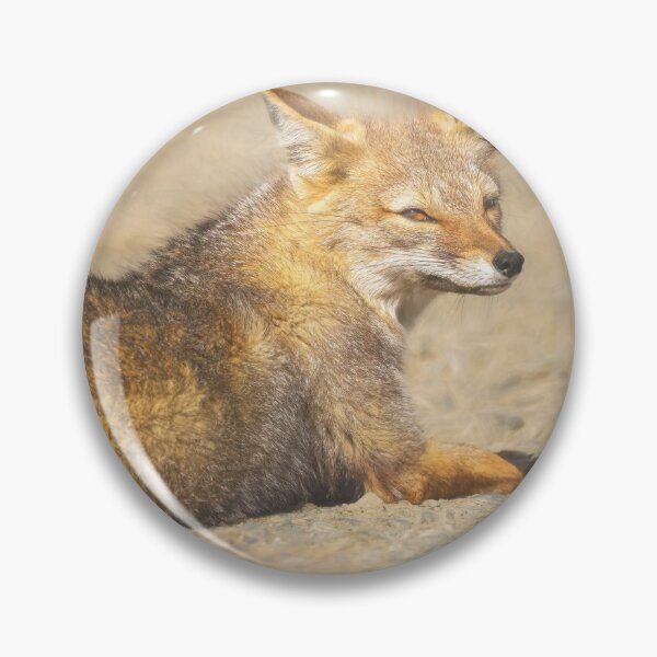 Item preview, South American Gray Fox Artistic designed and sold by PhotoArt by Joan Carroll.