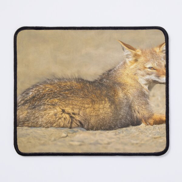 Item preview, South American Gray Fox Artistic designed and sold by PhotoArt by Joan Carroll.