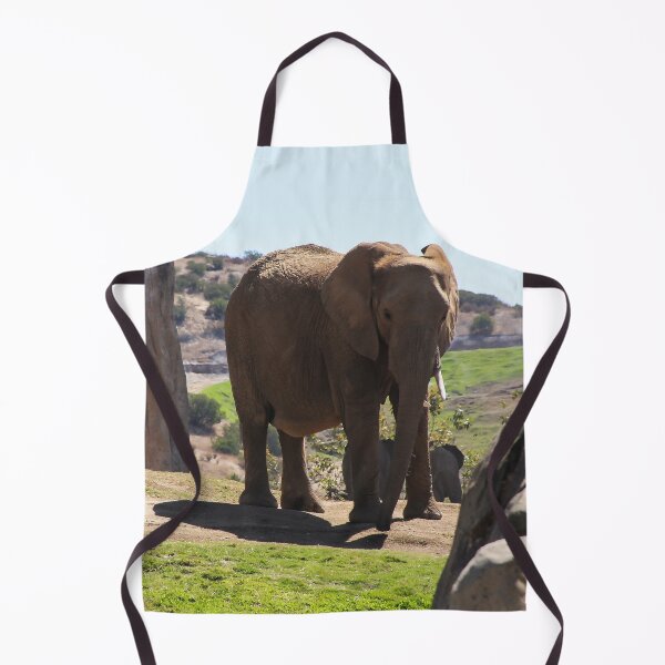 Item preview, Safe in San Diego designed and sold by heatherfriedman.