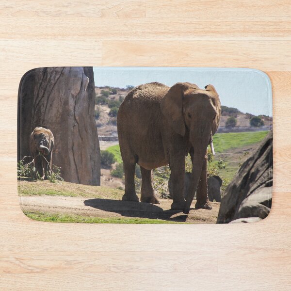 Item preview, Safe in San Diego designed and sold by heatherfriedman.