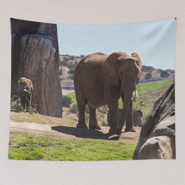 Item preview, Safe in San Diego designed and sold by heatherfriedman.
