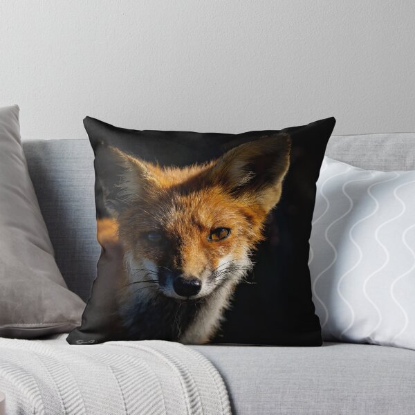 Item preview, Red Fox in Morning Light designed and sold by Shannon Emmel .