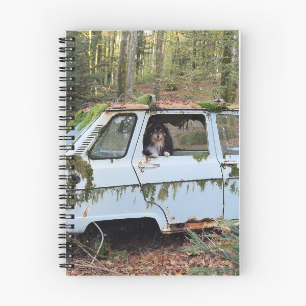 Item preview, Shetland Shepherd in an abandoned Renault 6 car designed and sold by NVOPhoto.