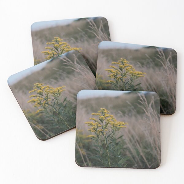 Item preview, Goldenrod in Evening Field designed and sold by Moronatorium.