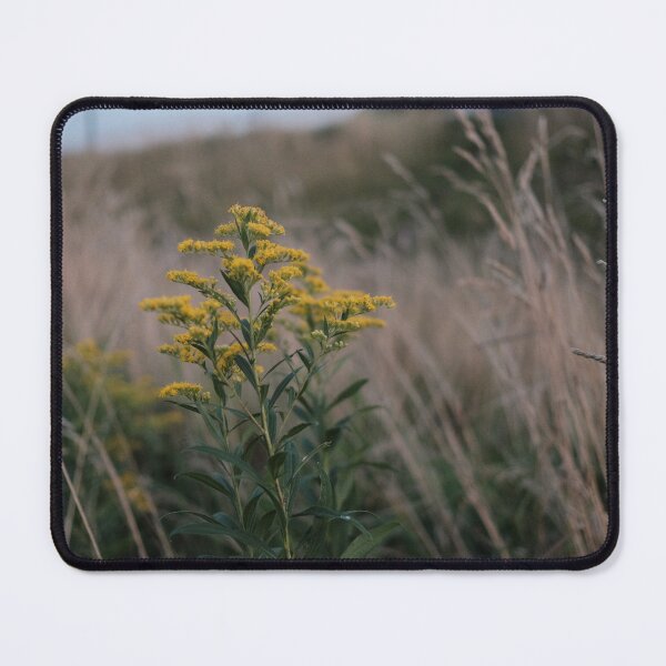 Item preview, Goldenrod in Evening Field designed and sold by Moronatorium.