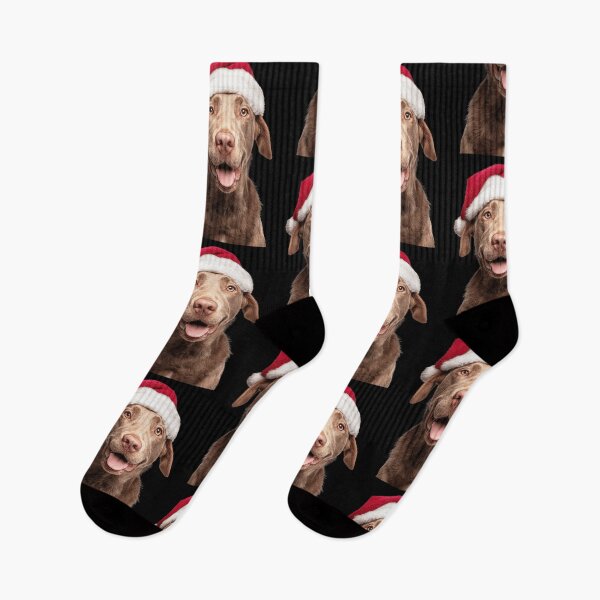 Item preview, Chesapeake Bay Retriever with Christmas Hat – Festive Chessie dog Xmas Design designed and sold by LazyOwlStore.