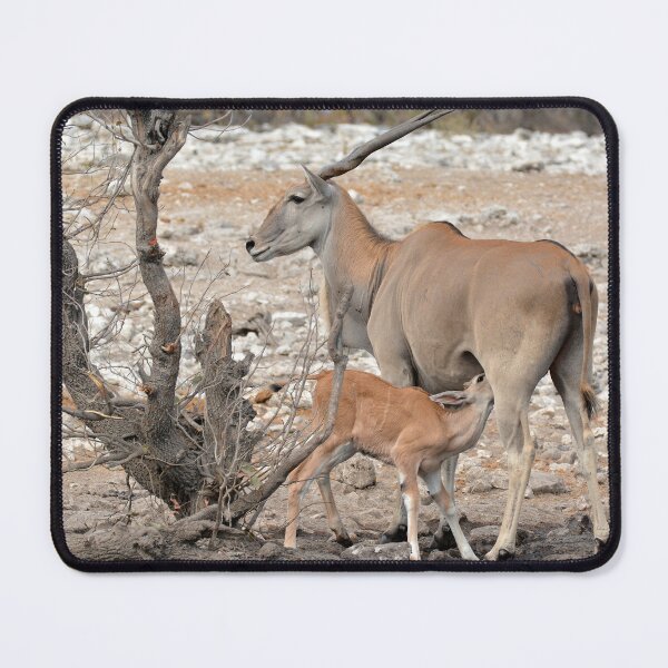 Item preview, Tender Moment in the Dust — Eland Mother Nursing Her Calf, Etosha designed and sold by DavideAntoniani.