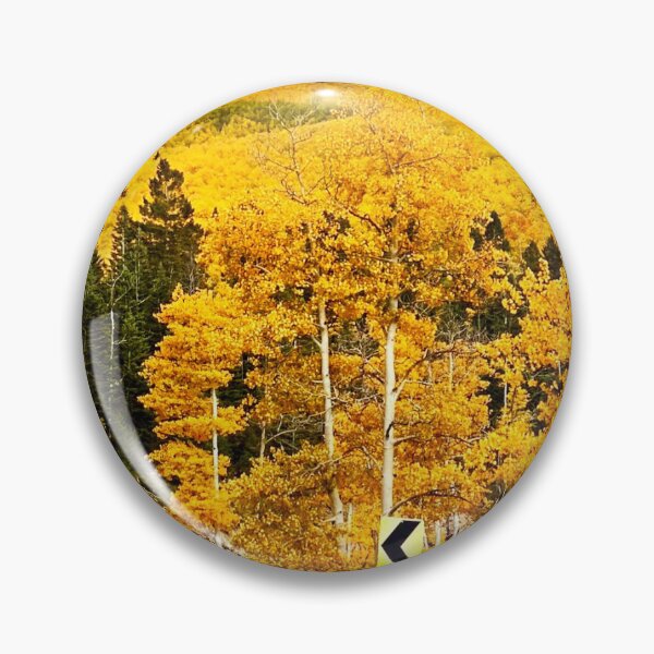 Item preview, Aspen trees changing in Santa Fe designed and sold by PadonDesigns.