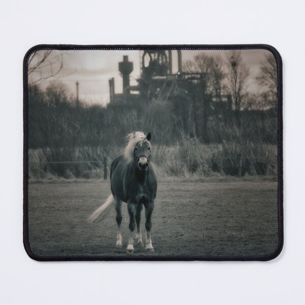 Item preview, Horse in the pasture, in the background a blast furnace Blak and White designed and sold by Ruhrpottpicture.