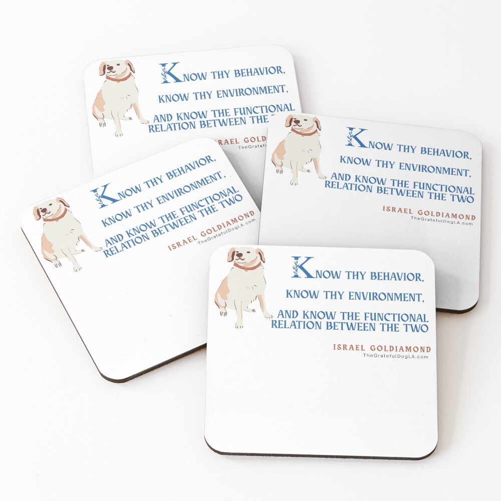 Item preview, Coasters (Set of 4) designed and sold by walkswithalex.