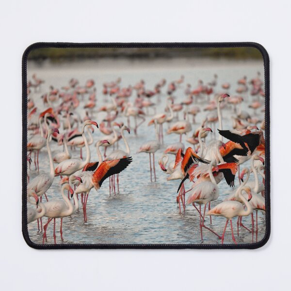 Item preview, Wings of Fire — Flamingos Dancing on the Water of Etosha designed and sold by DavideAntoniani.