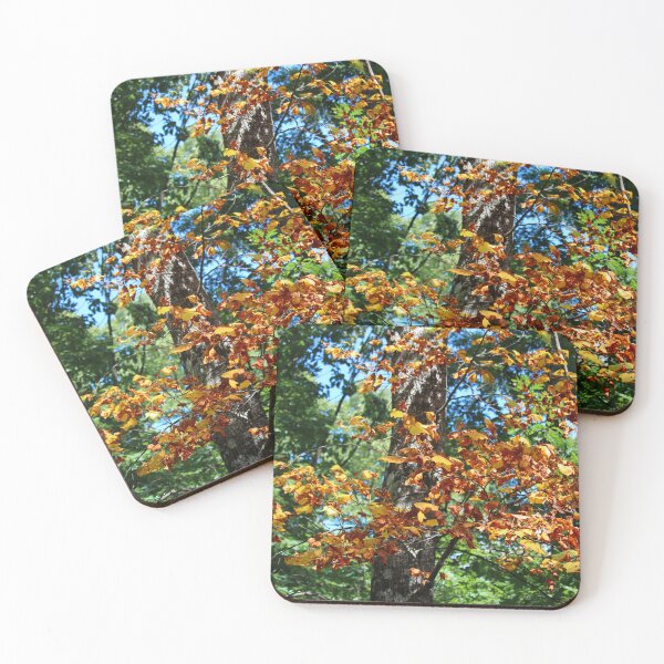 Item preview, Autumn Leaves in a Sunlit Forest designed and sold by Cynthia48.