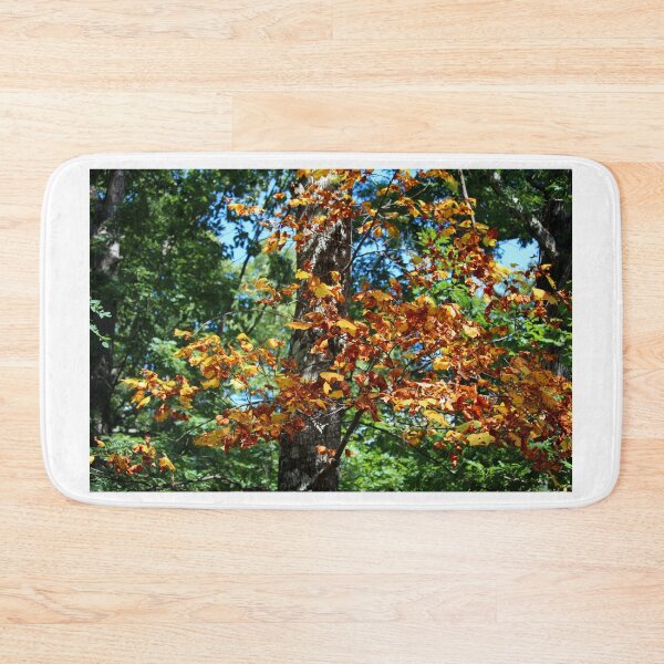 Item preview, Autumn Leaves in a Sunlit Forest designed and sold by Cynthia48.