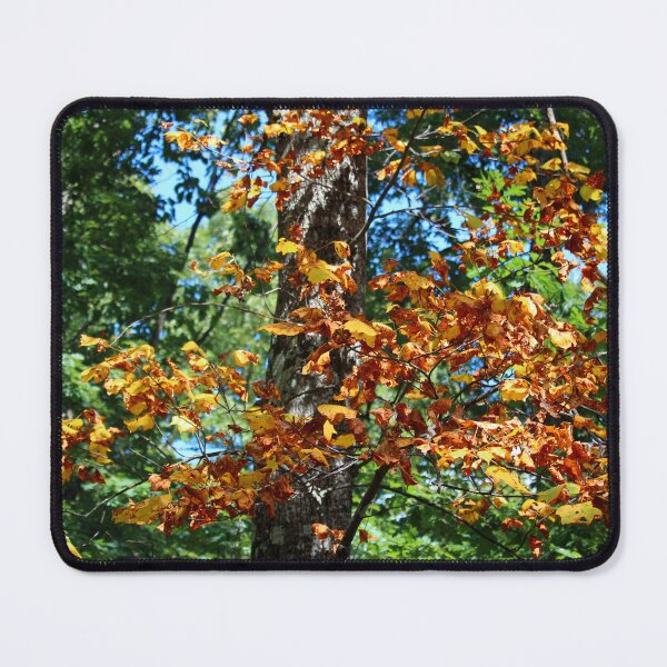 Item preview, Autumn Leaves in a Sunlit Forest designed and sold by Cynthia48.