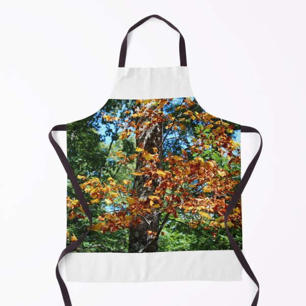 Item preview, Autumn Leaves in a Sunlit Forest designed and sold by Cynthia48.
