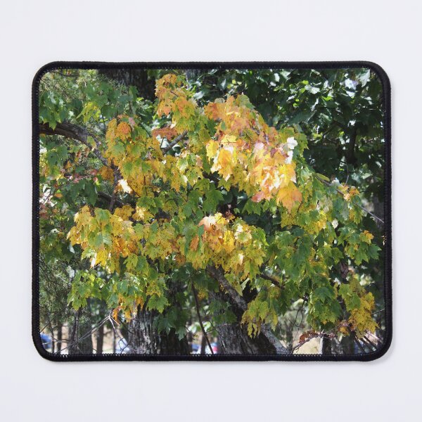 Item preview, Autumn Leaves on Branch designed and sold by Cynthia48.