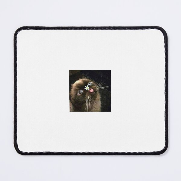 Item preview, silly kitty designed and sold by trendyforyou2.