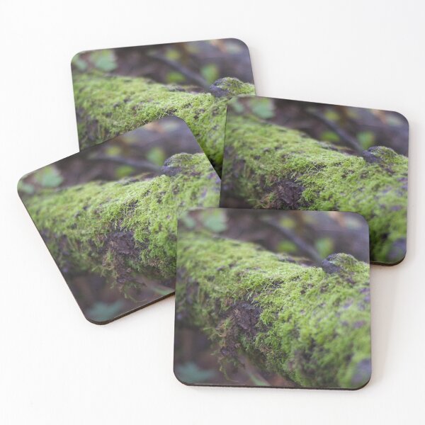 Item preview, Moss on Tree in Autumn designed and sold by anashiking.
