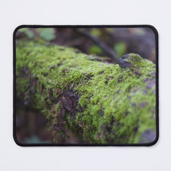 Item preview, Moss on Tree in Autumn designed and sold by anashiking.