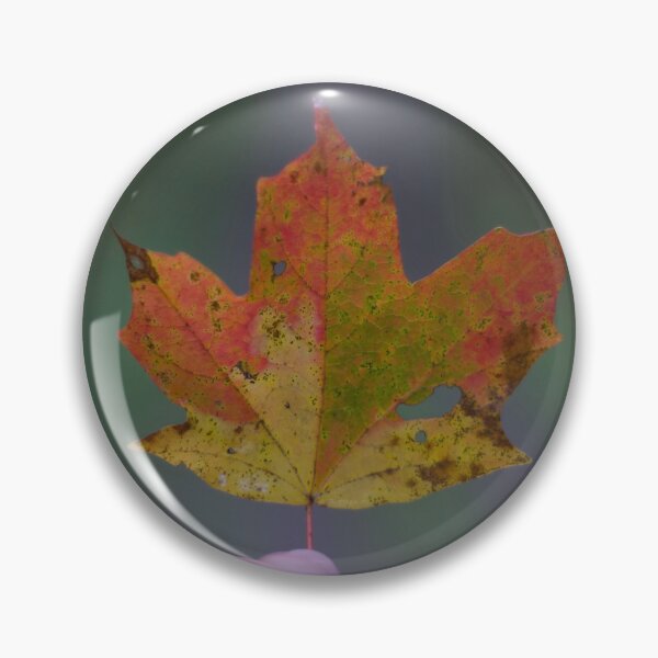 Item preview, Sugar Maple Leaf in Autumn designed and sold by anashiking.