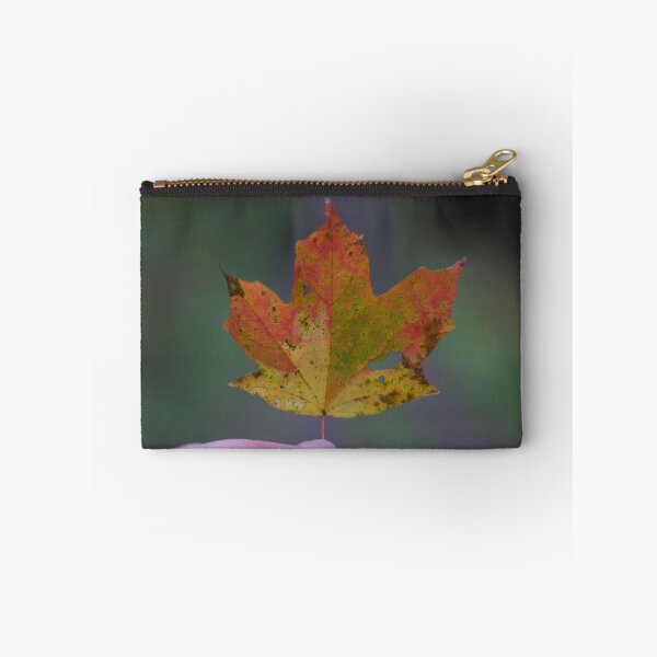Item preview, Sugar Maple Leaf in Autumn designed and sold by anashiking.