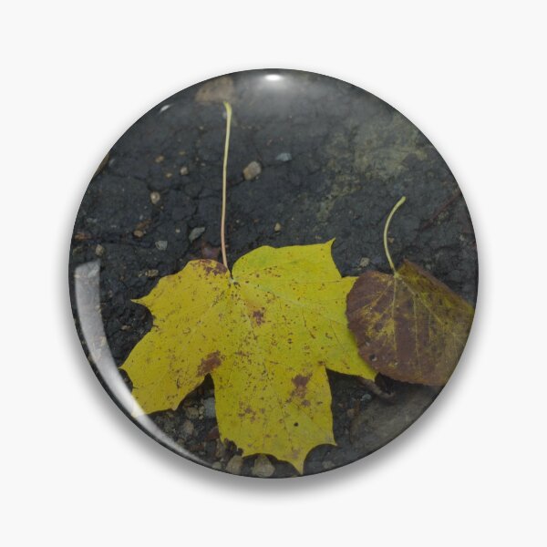 Item preview, Bright Yellow Sugar Maple Leaf designed and sold by anashiking.