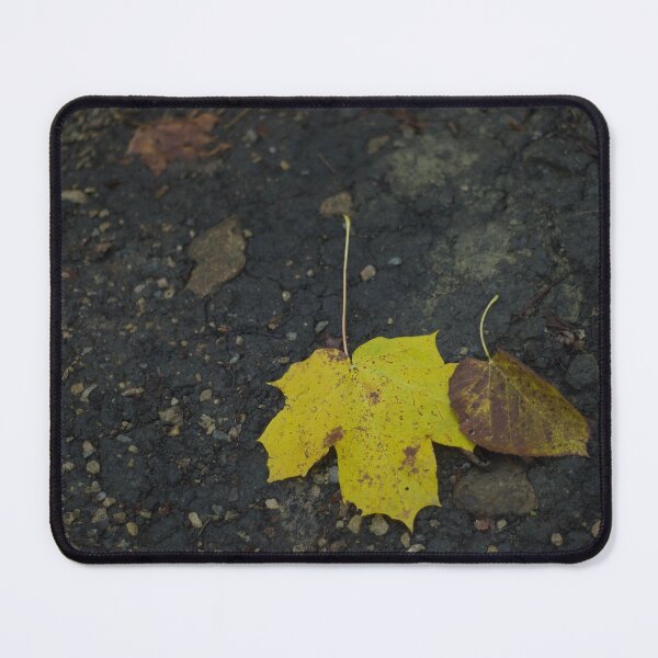 Item preview, Bright Yellow Sugar Maple Leaf designed and sold by anashiking.