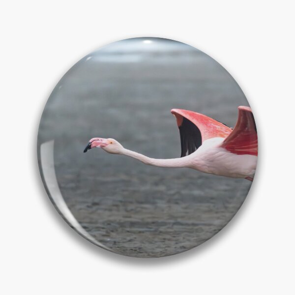 Item preview, The Leap of Light — Flamingo in Flight over Etosha’s Mudflats designed and sold by DavideAntoniani.