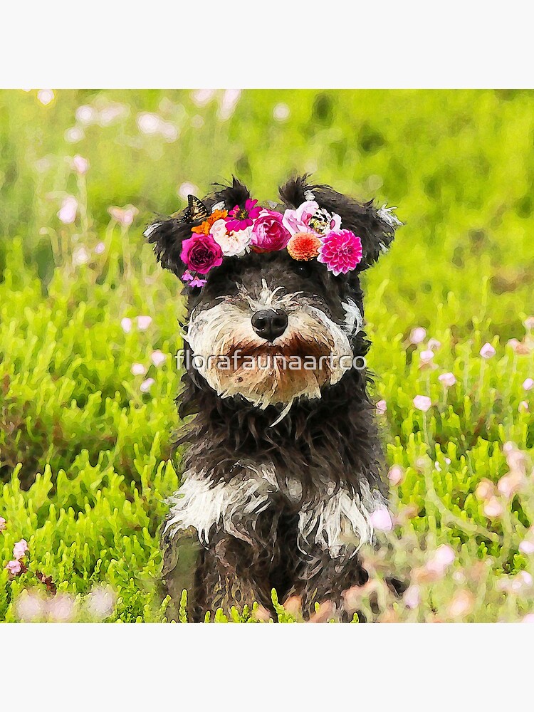 Schnauzer Watercolor Print Dog Art Print Pet Gift Dog Lover Nursery Puppy Print