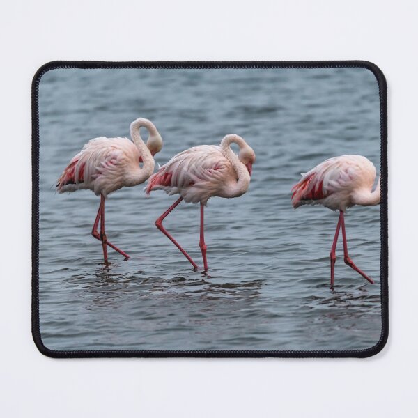 Item preview, Grace in Triptych — Three Flamingos in Gentle Sync, Etosha Wetlands designed and sold by DavideAntoniani.