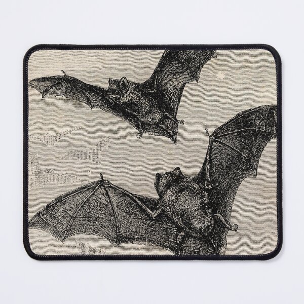 Item preview, Vintage Bats Flying Engraving | 19th Century Natural History Print designed and sold by Folio and Field: Archival Art for Modern Living.