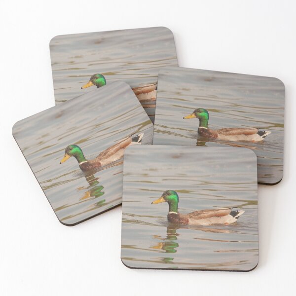 Item preview, Mallard duck on water designed and sold by Production Art Manon Meilleur.