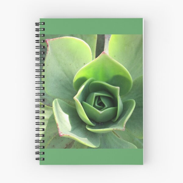 Item preview, Desert Beauty designed and sold by Kelley Shannon.