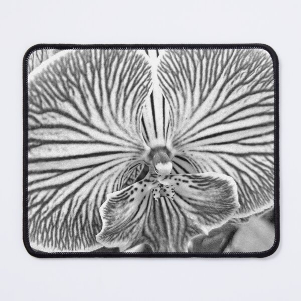 Item preview, Elegance in Black and White designed and sold by Betsy Phillips.