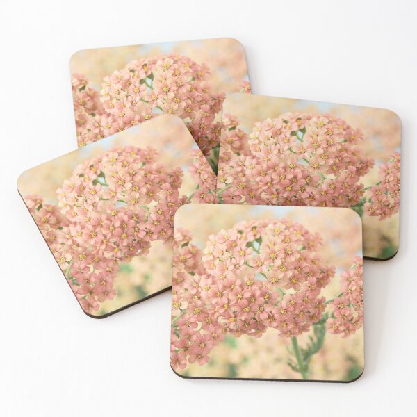 Item preview,  Achillea millefolium 'Salmon Beauty' designed and sold by Chris Burrows.