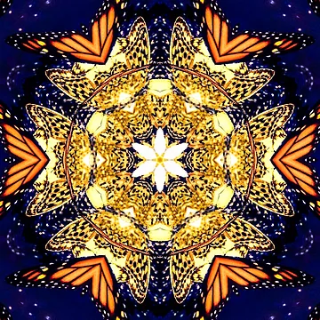 Artwork thumbnail, Fly by FunParlor