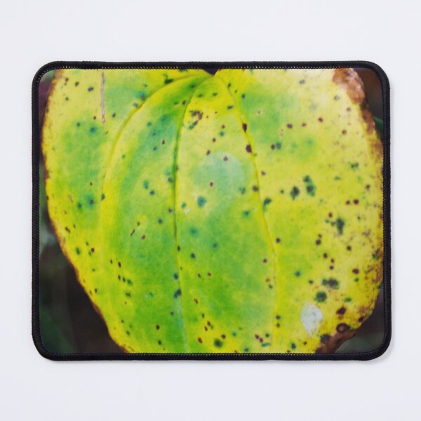 Item preview, Heart Leaf of Transformation Nature Art designed and sold by CKsLens.