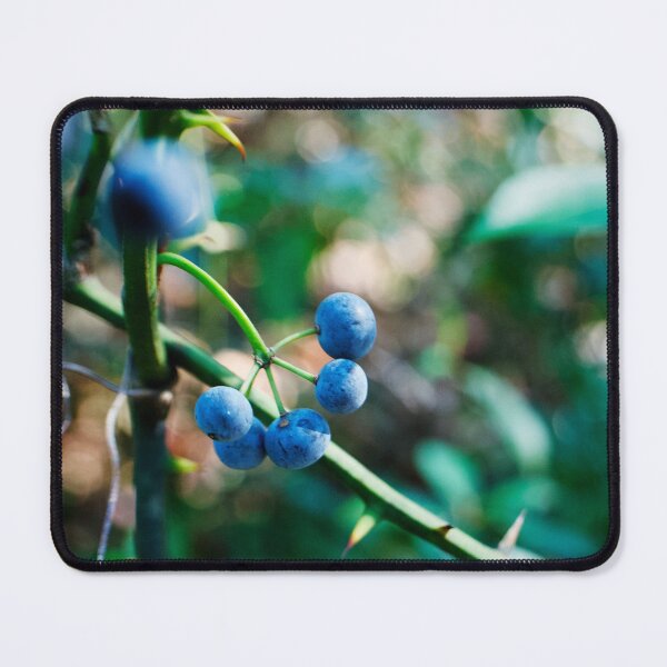 Item preview, Moody Blueberries at Bee Rock designed and sold by CKsLens.