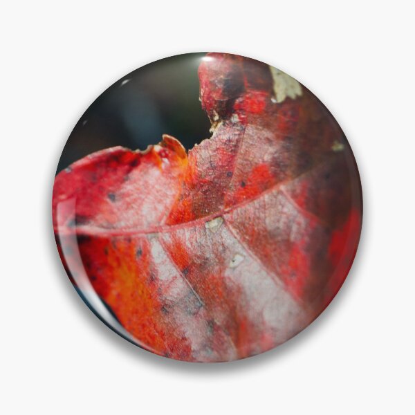 Item preview, Veined Red Leaf Autumn Macro Art designed and sold by CKsLens.
