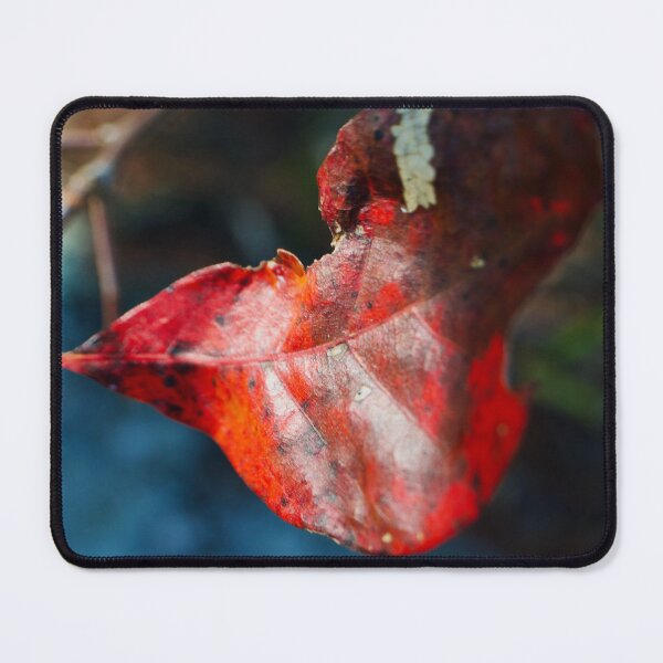 Item preview, Veined Red Leaf Autumn Macro Art designed and sold by CKsLens.